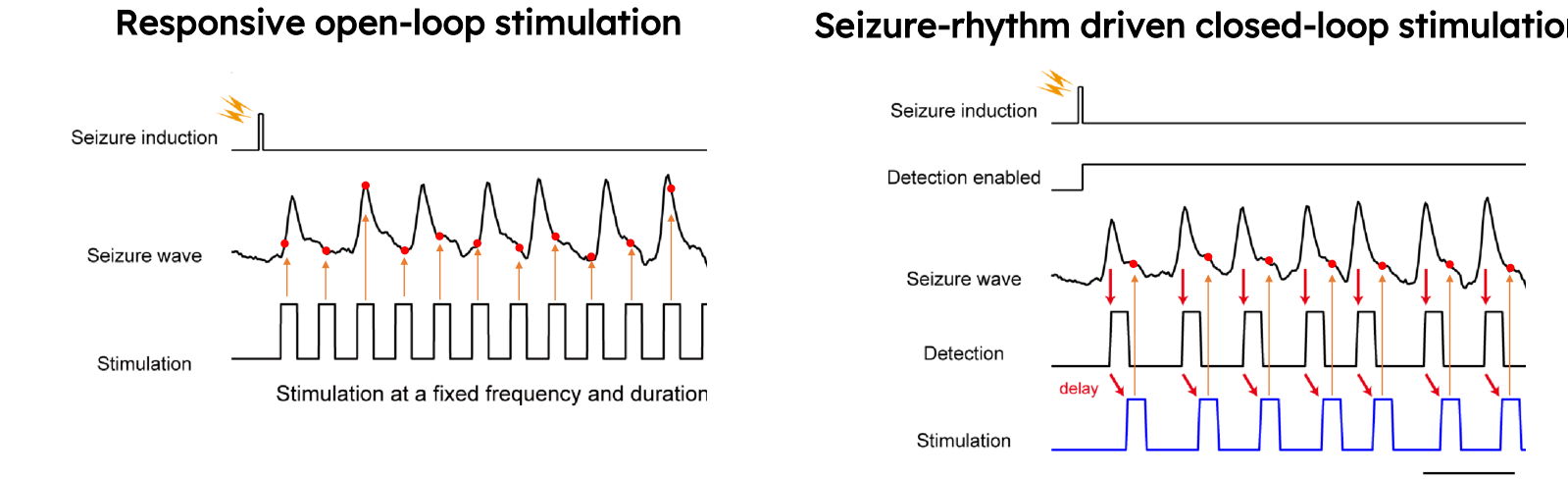 Published comparison of responsive open-loop stimulation and seizure-rhythm driven closed-loop stimulation