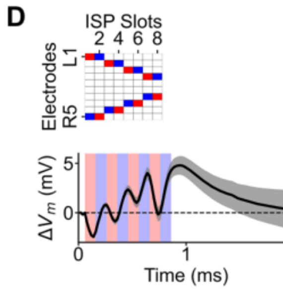 ISP electrode timing sequence and intracellular membrane response