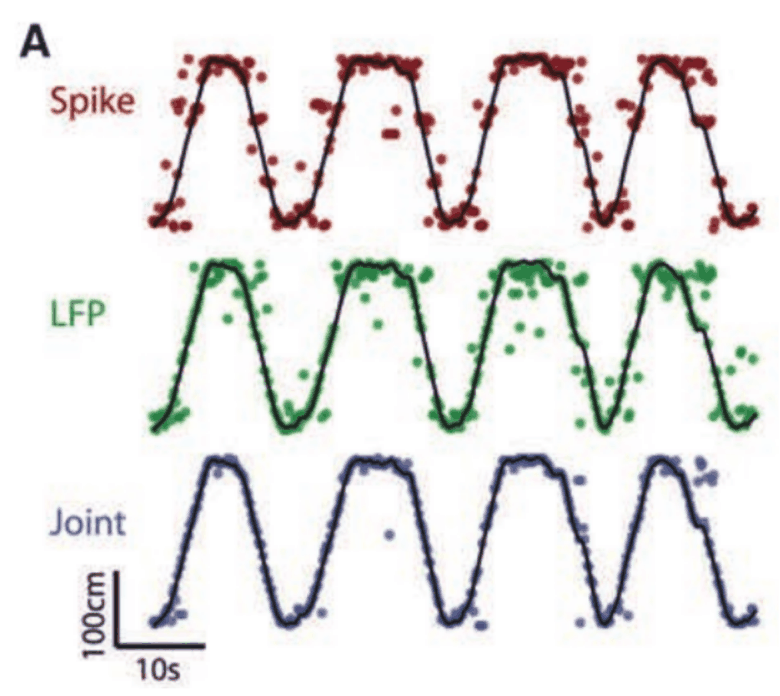 Actual and decoded position using spikes, local field potentials and joint decoding